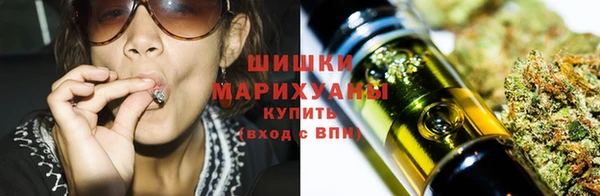 ГАЛЛЮЦИНОГЕННЫЕ ГРИБЫ Алексин