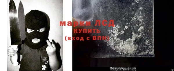ГАЛЛЮЦИНОГЕННЫЕ ГРИБЫ Алексин