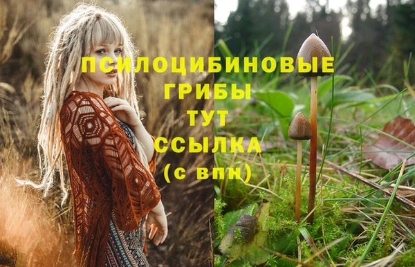 ГАЛЛЮЦИНОГЕННЫЕ ГРИБЫ Алексин